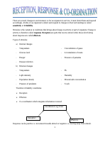 Reception Responce and Coordination.pdf